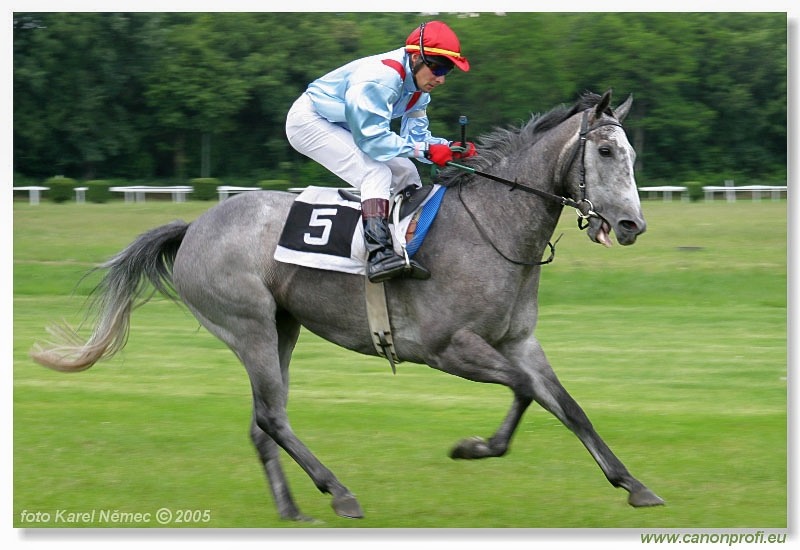 Bratislava - 19. júna 2005