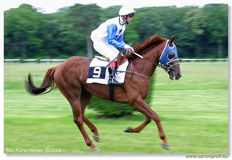 Bratislava - 19. júna 2005