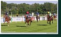 Handicap Ondavy