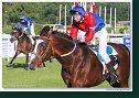 Handicap Ondavy