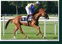 Handicap Ondavy