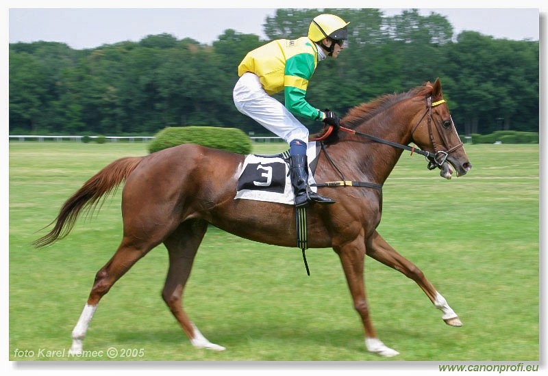 Bratislava - 26. júna 2005 