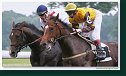 Derby -Trial
