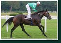 Derby -Trial