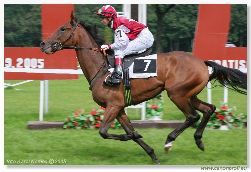 Bratislava - 04. septembra 2005 