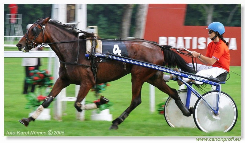 Bratislava - 11. septembra 2005 