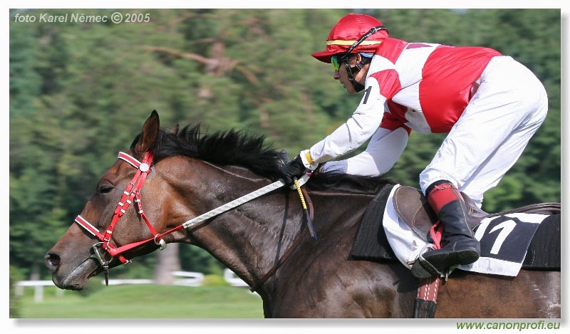 Bratislava - 11. septembra 2005 