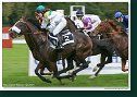 Handicap Noble Patriarcha