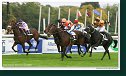 Handicap Noble Patriarcha