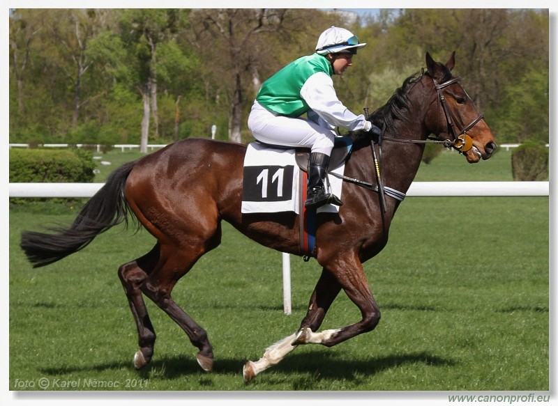 Bratislava - 10. aprla 2011 