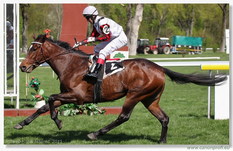Bratislava - 10. aprla 2011 