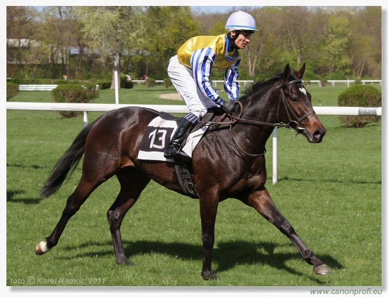 Bratislava - 10. aprla 2011 
