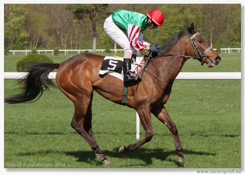 Bratislava - 10. aprla 2011 