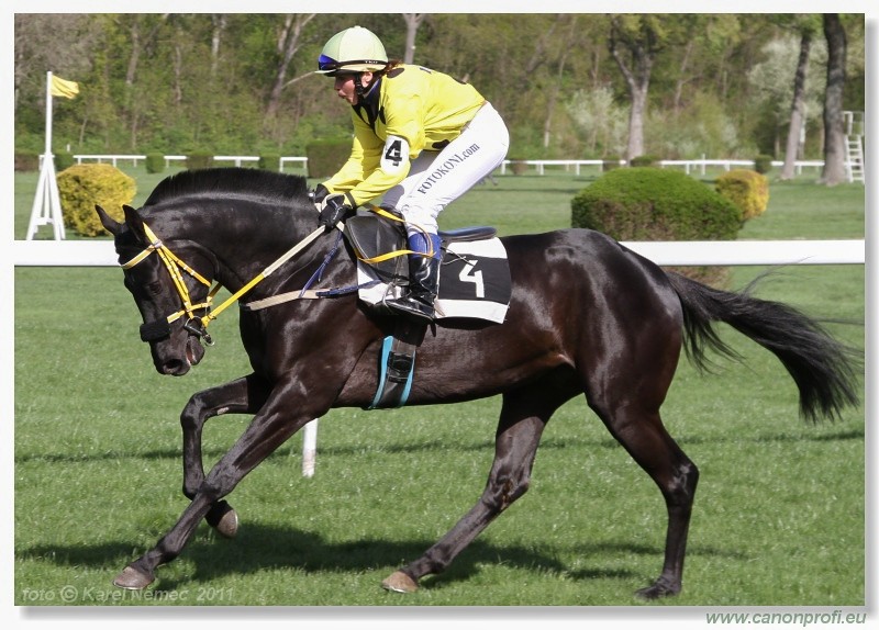 Bratislava - 10. aprla 2011 