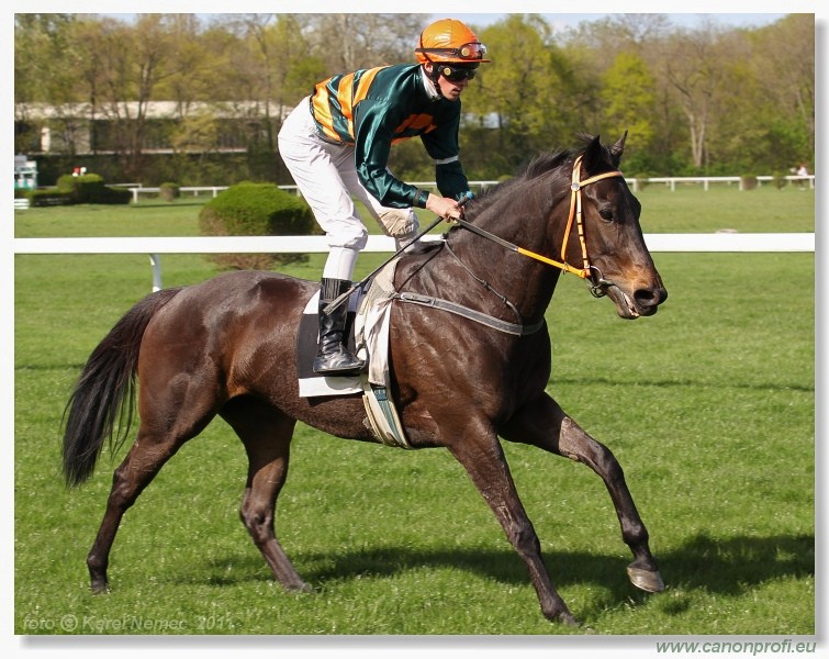 Bratislava - 10. aprla 2011 