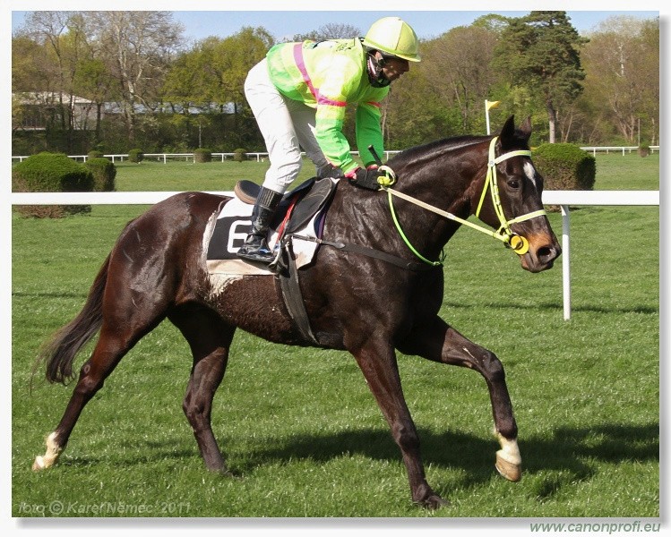 Bratislava - 10. aprla 2011 