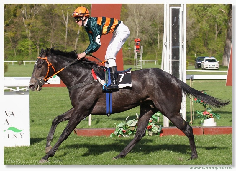 Bratislava - 10. aprla 2011 