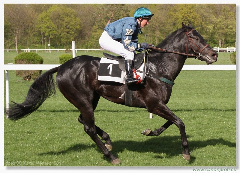 Bratislava - 10. aprla 2011 