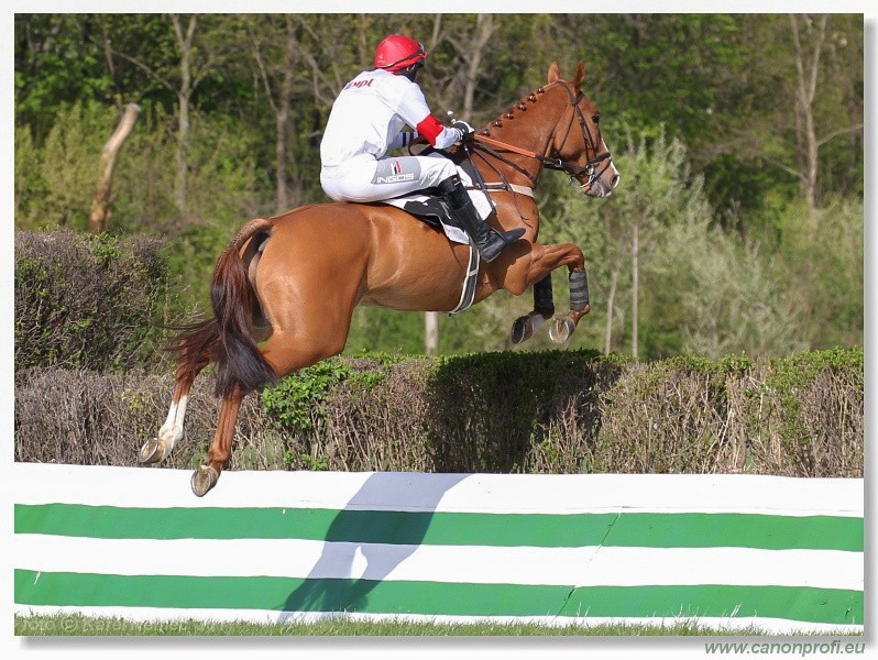 Bratislava - 10. aprla 2011 