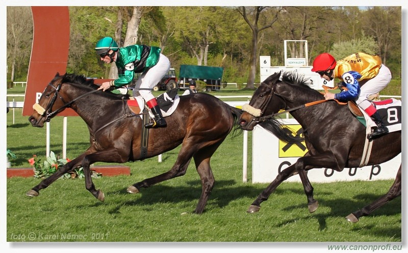 Bratislava - 10. aprla 2011 