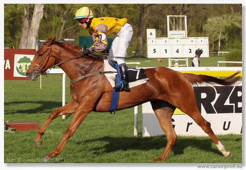 Bratislava - 10. aprla 2011 