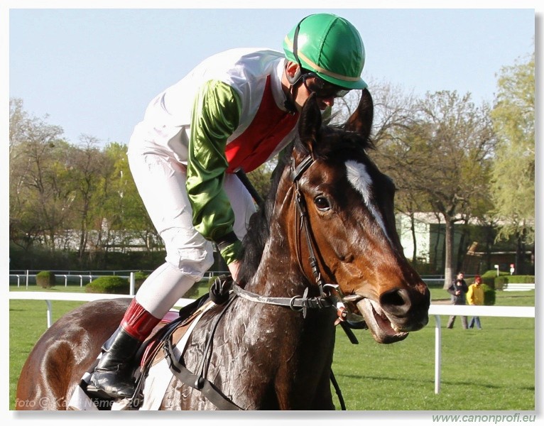 Bratislava - 10. aprla 2011 
