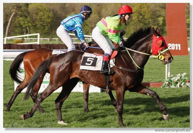 Bratislava - 10. aprla 2011 