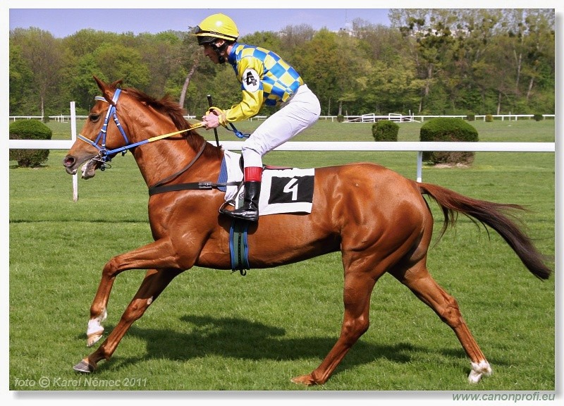 Bratislava - 17. aprla 2011 