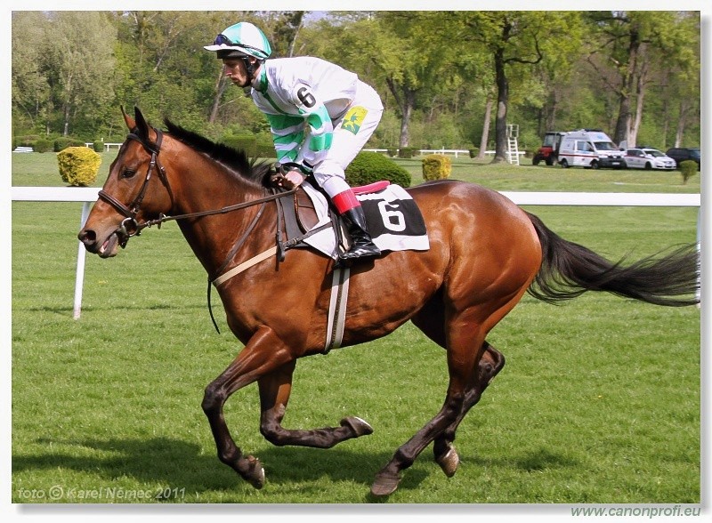 Bratislava - 17. aprla 2011 