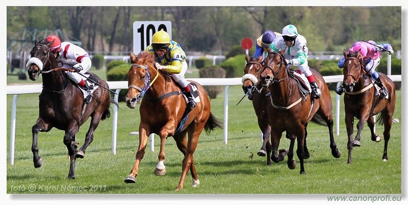 Bratislava - 17. aprla 2011 