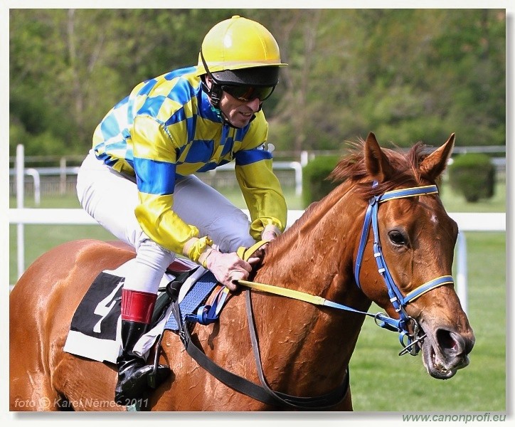 Bratislava - 17. aprla 2011 