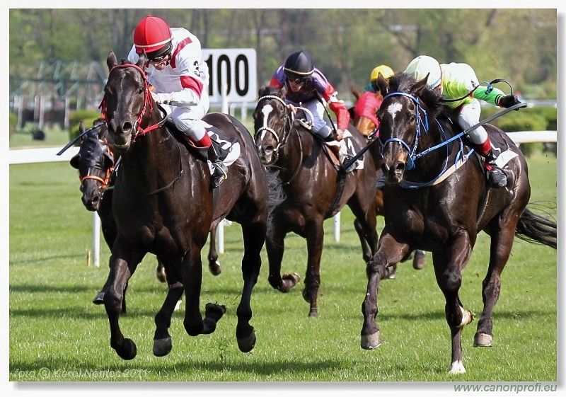 Bratislava - 17. aprla 2011 