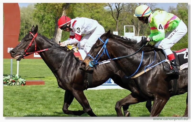 Bratislava - 17. aprla 2011 