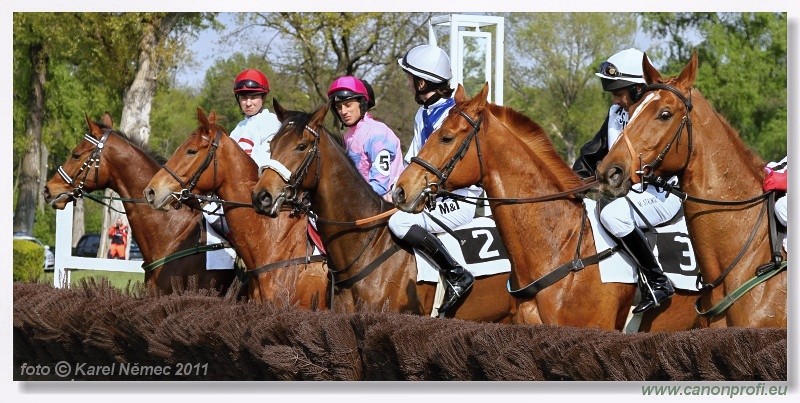 Bratislava - 17. aprla 2011 