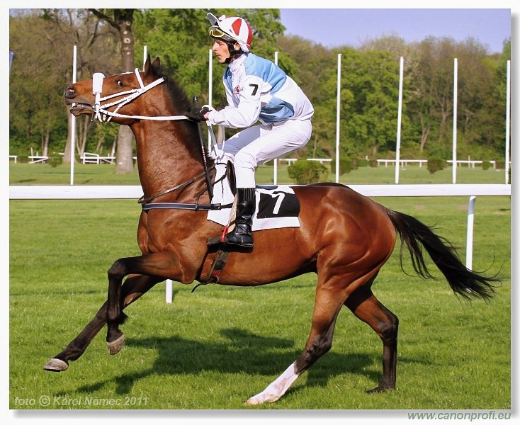 Bratislava - 17. aprla 2011 
