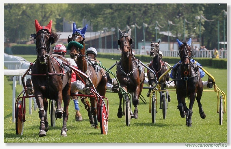 Bratislava - 24. aprla 2011 