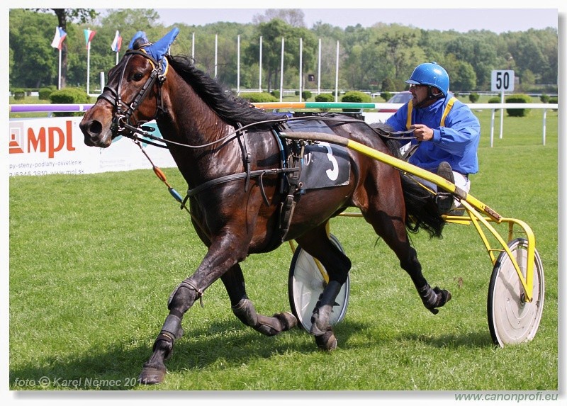 Bratislava - 24. aprla 2011 