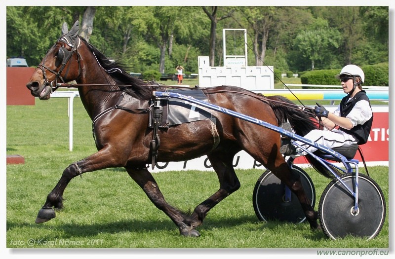 Bratislava - 24. aprla 2011 