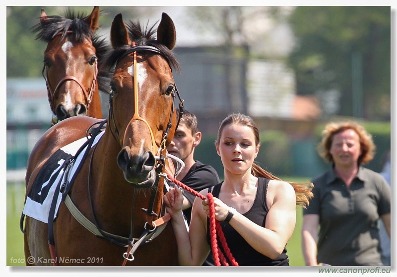 Bratislava - 24. aprla 2011 