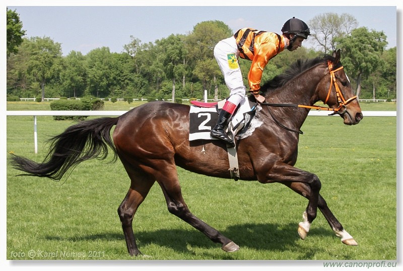 Bratislava - 24. aprla 2011 