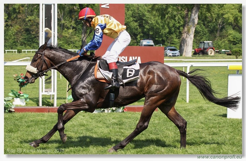 Bratislava - 24. aprla 2011 