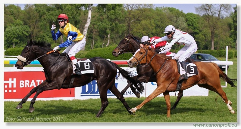 Bratislava - 24. aprla 2011 