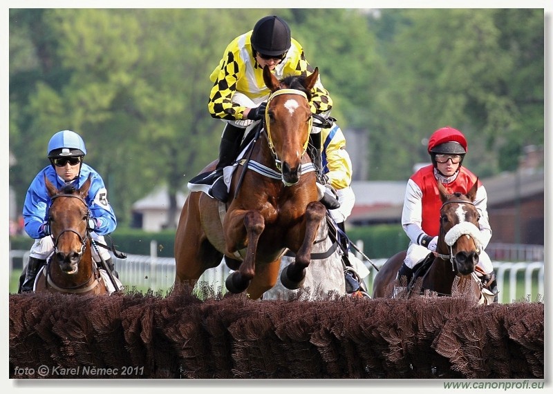 Bratislava - 24. aprla 2011 