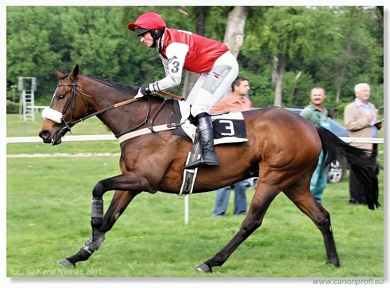 Bratislava - 24. aprla 2011 