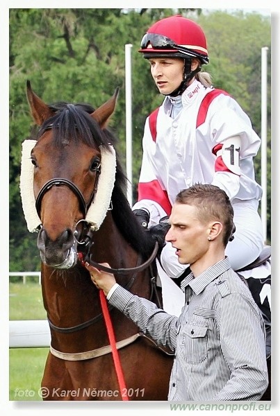 Bratislava - 24. aprla 2011 