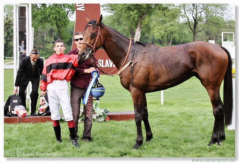Bratislava - 24. aprla 2011 