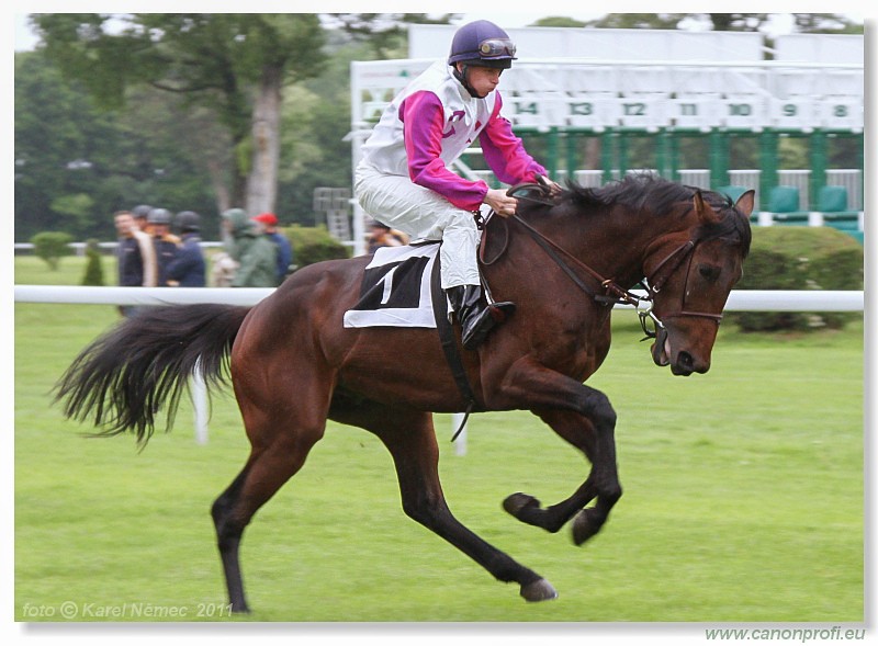 Bratislava - 15. mja 2011 