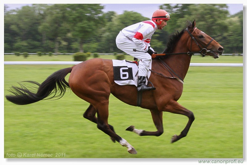 Bratislava - 15. mja 2011 