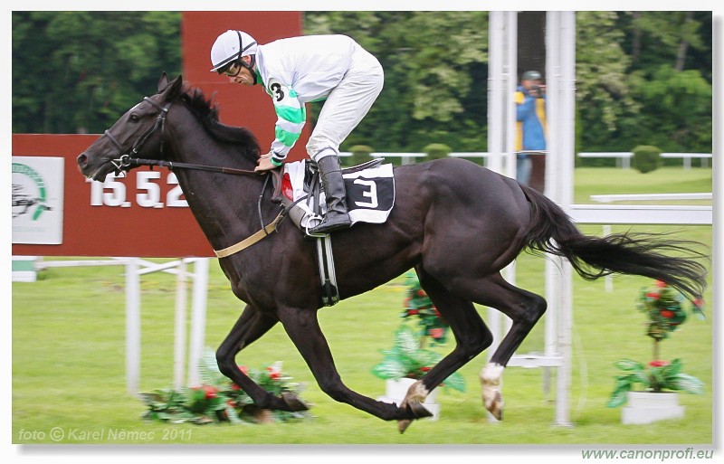 Bratislava - 15. mja 2011 