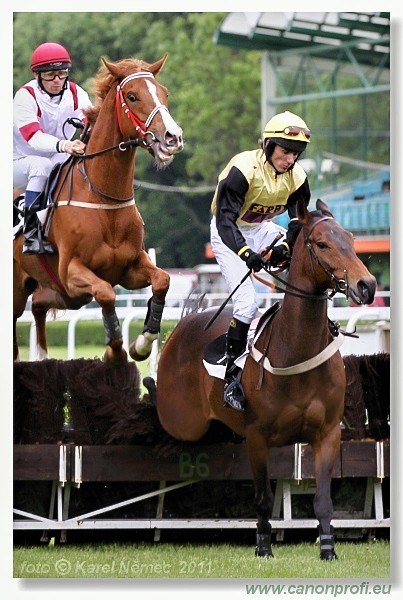 Bratislava - 15. mja 2011 